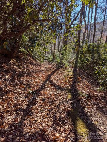 2716 Lower Flat Creek Road Black Mountain NC 28711