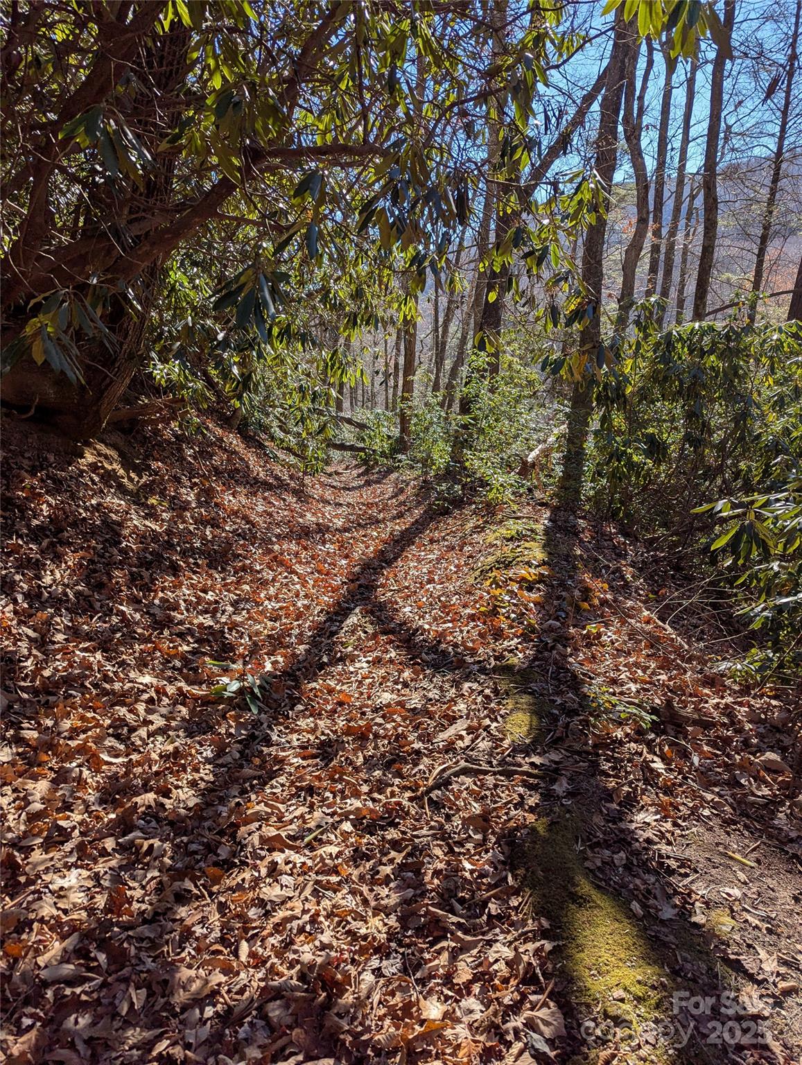2716 Lower Flat Creek Road Black Mountain NC 28711