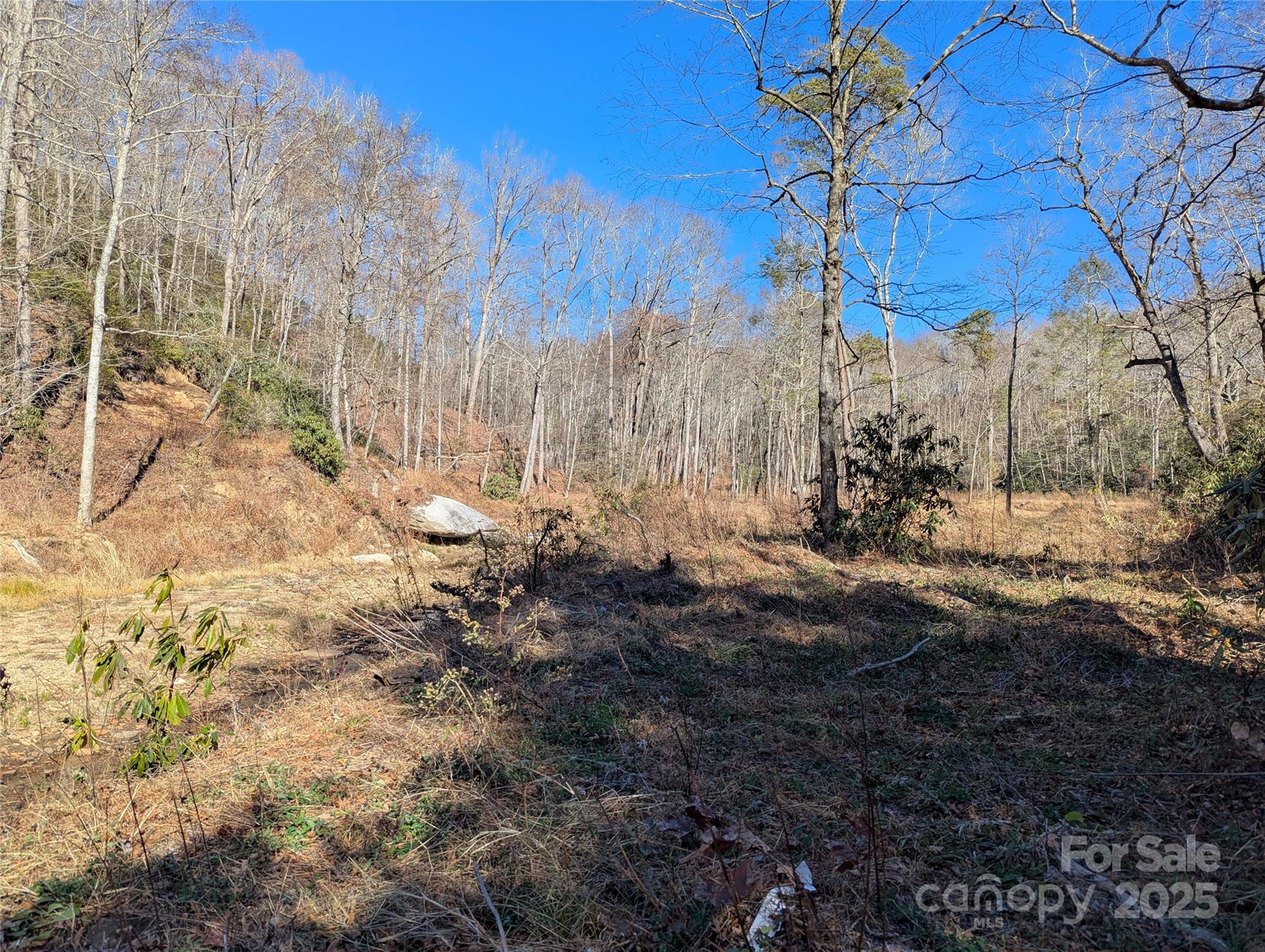 2716 Lower Flat Creek Road Black Mountain NC 28711