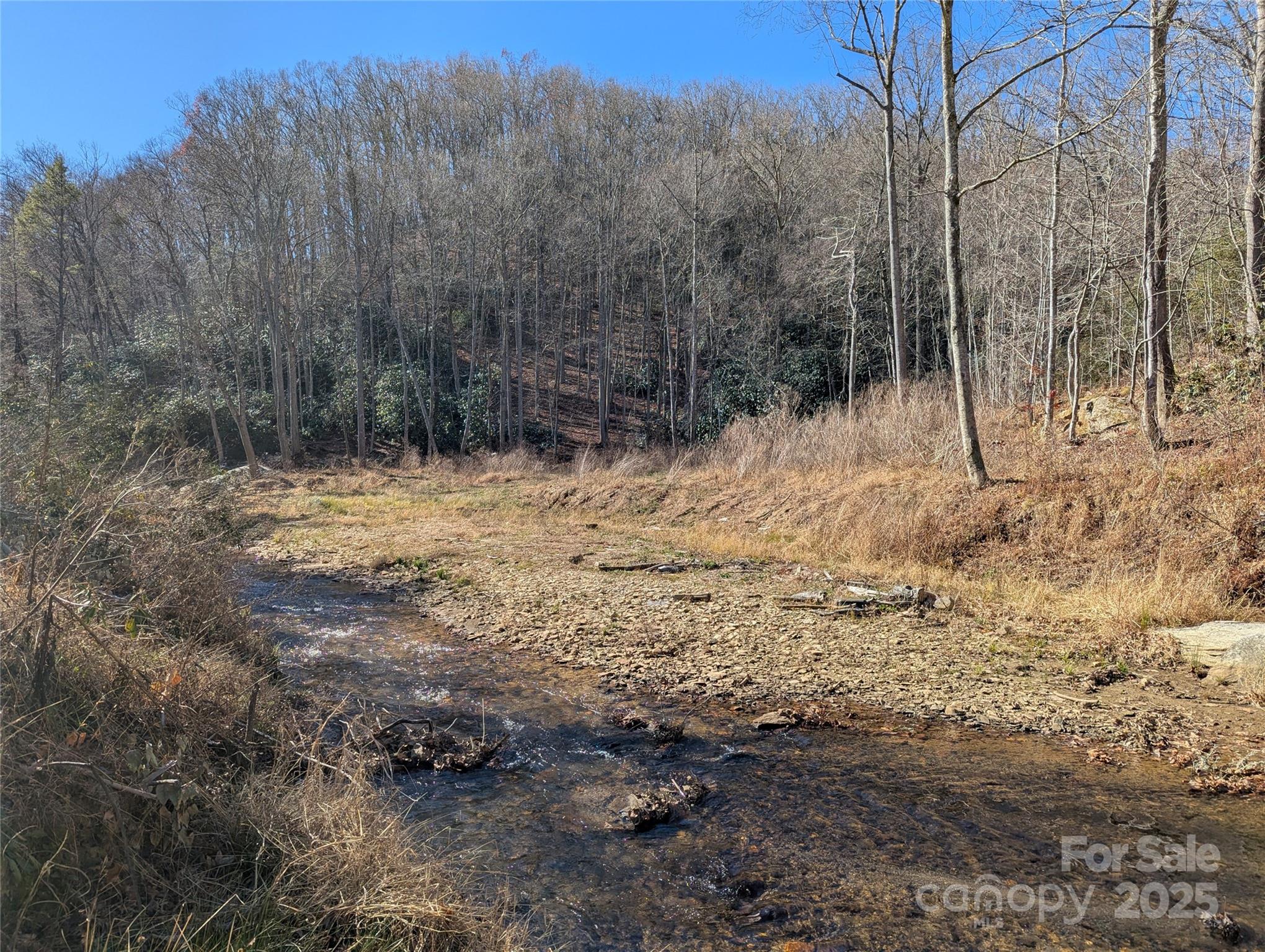 2716 Lower Flat Creek Road Black Mountain NC 28711