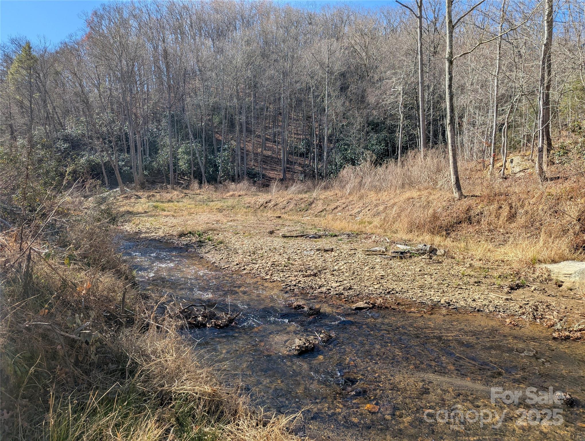 2716 Lower Flat Creek Road Black Mountain NC 28711