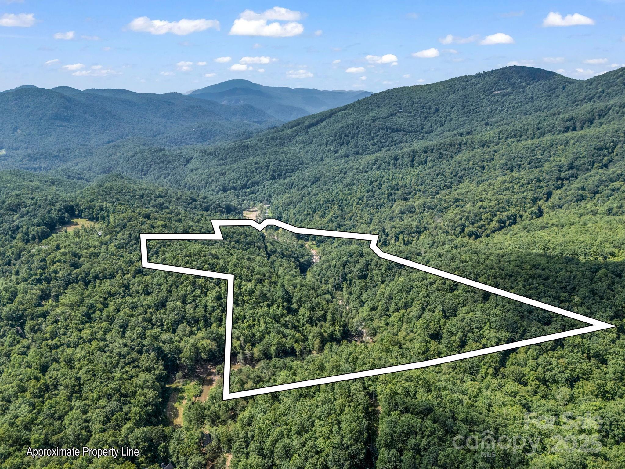 2716 Lower Flat Creek Road Black Mountain NC 28711