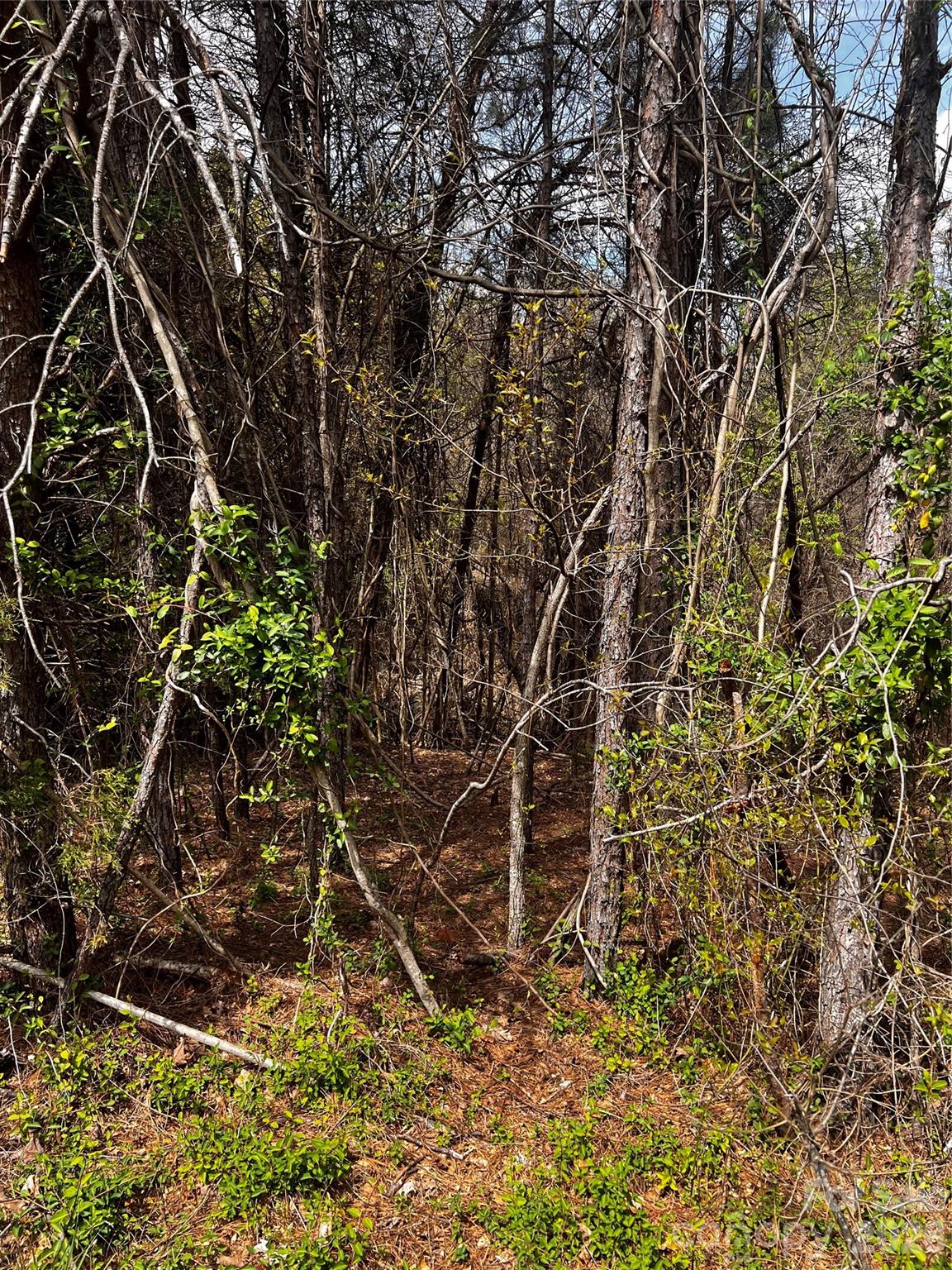 0000 Cemetery Loop Hickory NC 28601