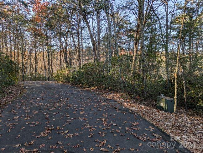 0 Willow Lane Columbus NC 28722