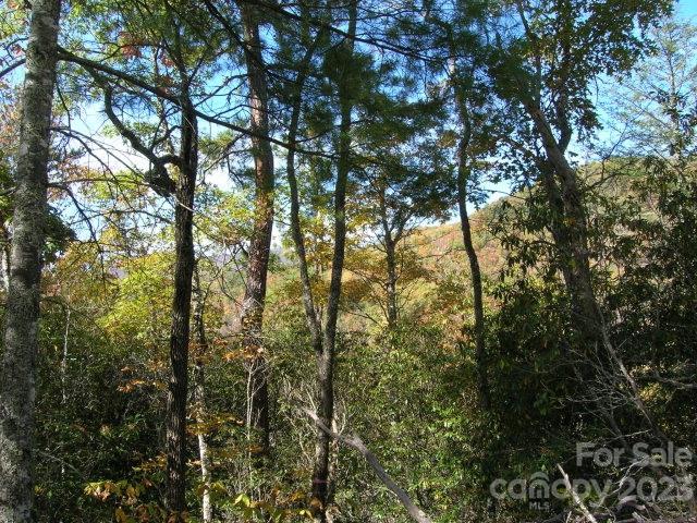 Lot 4 Chimney Top Heights Bryson City NC 28713