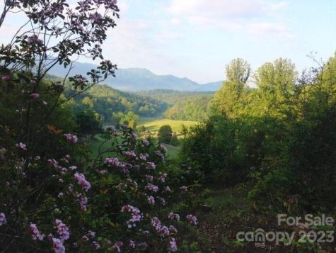 Lot 4 Chimney Top Heights Bryson City NC 28713