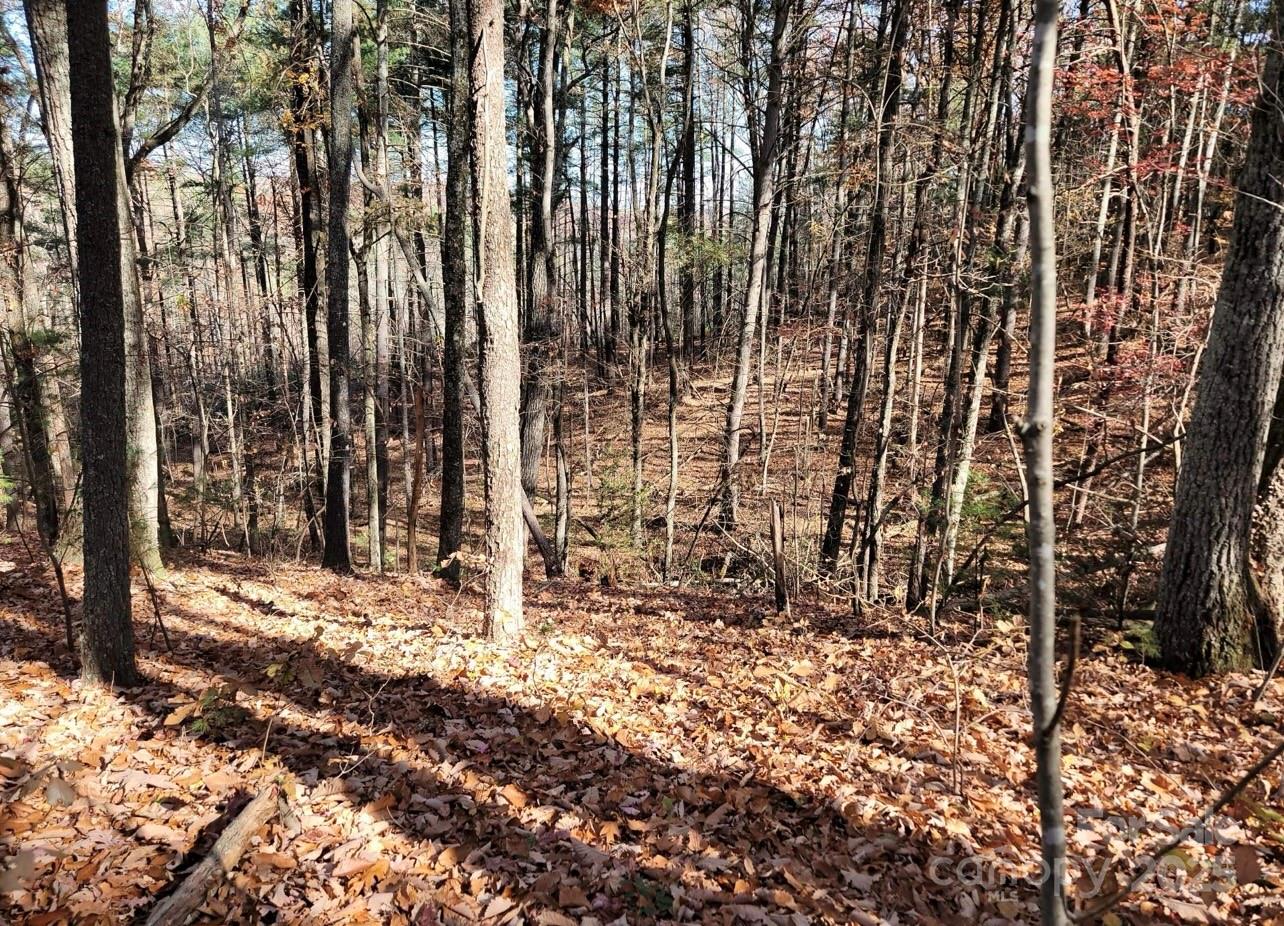 6033 Rice Lane Granite Falls NC 28630