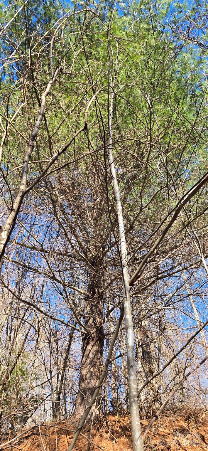 Lot 1 Turtle Rock Lane Waynesville NC 28785
