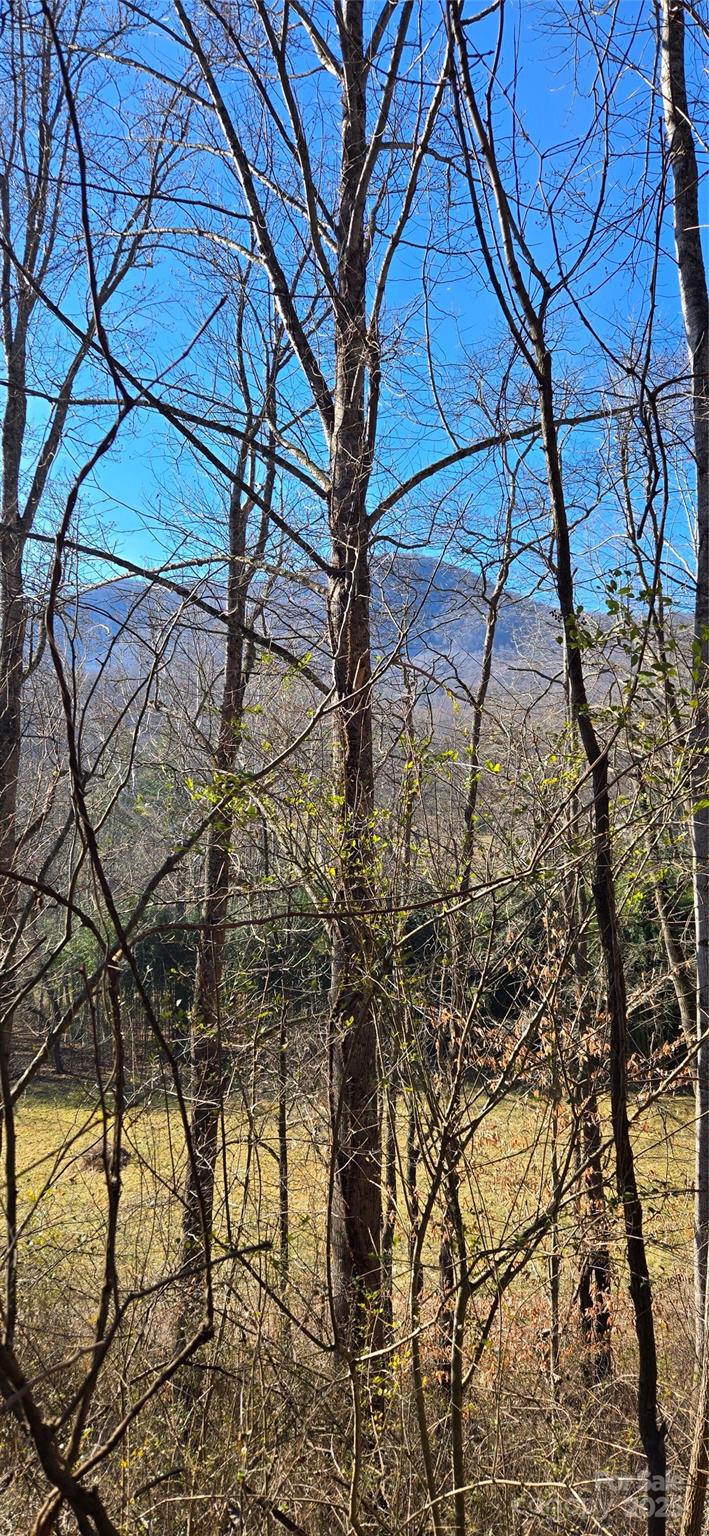 Lot 1 Turtle Rock Lane Waynesville NC 28785