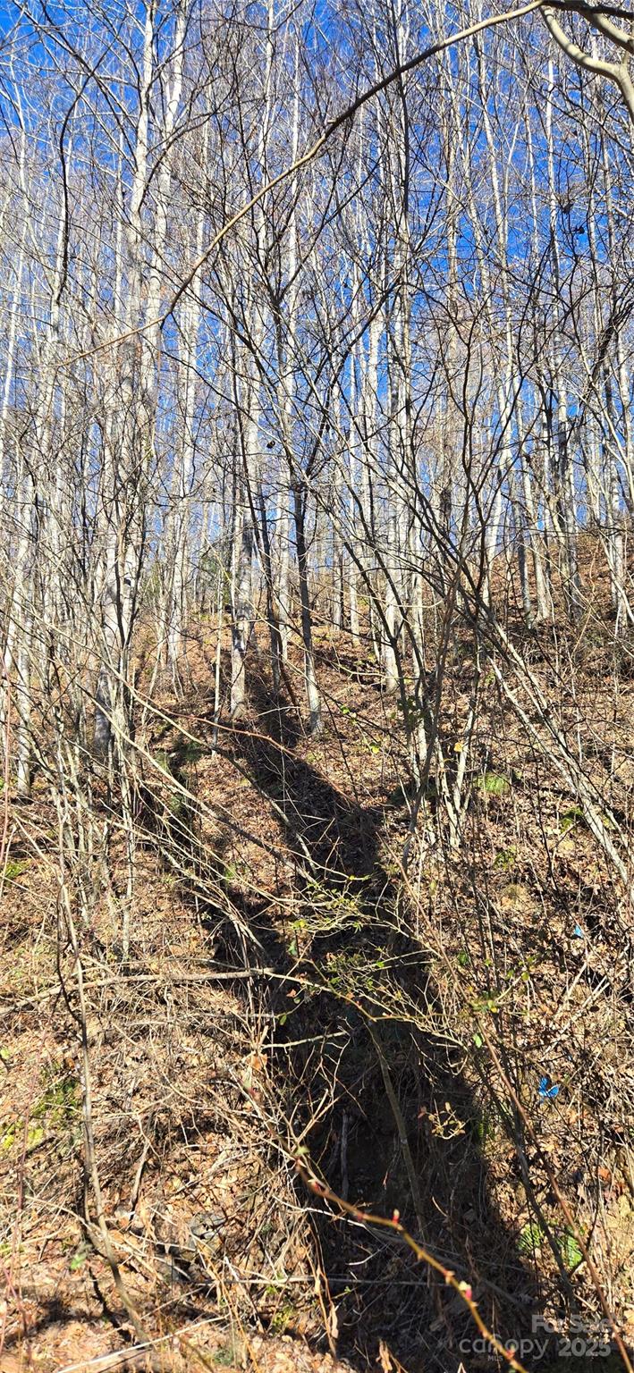 Lot 1 Turtle Rock Lane Waynesville NC 28785