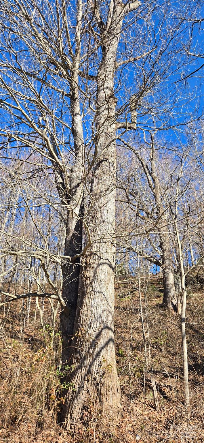 Lot 1 Turtle Rock Lane Waynesville NC 28785