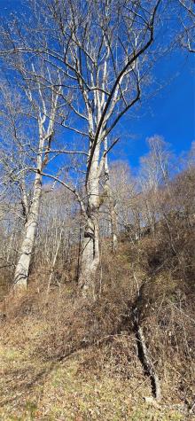 Lot 1 Turtle Rock Lane Waynesville NC 28785