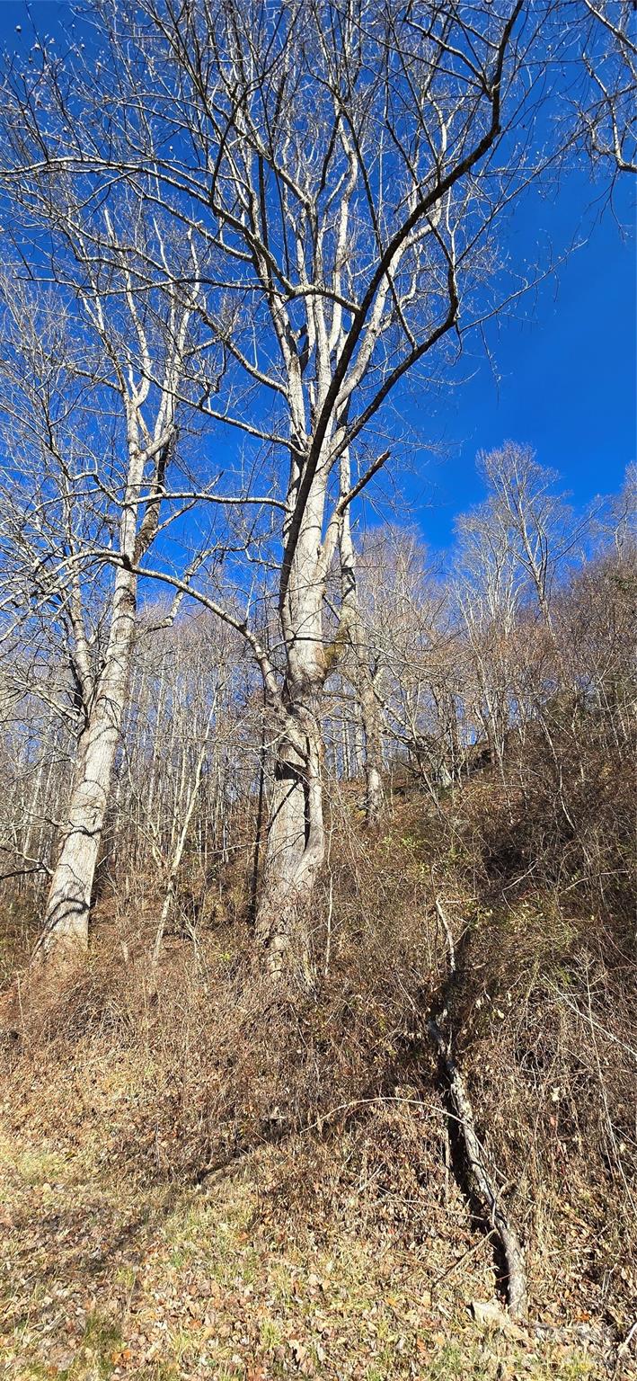 Lot 1 Turtle Rock Lane Waynesville NC 28785