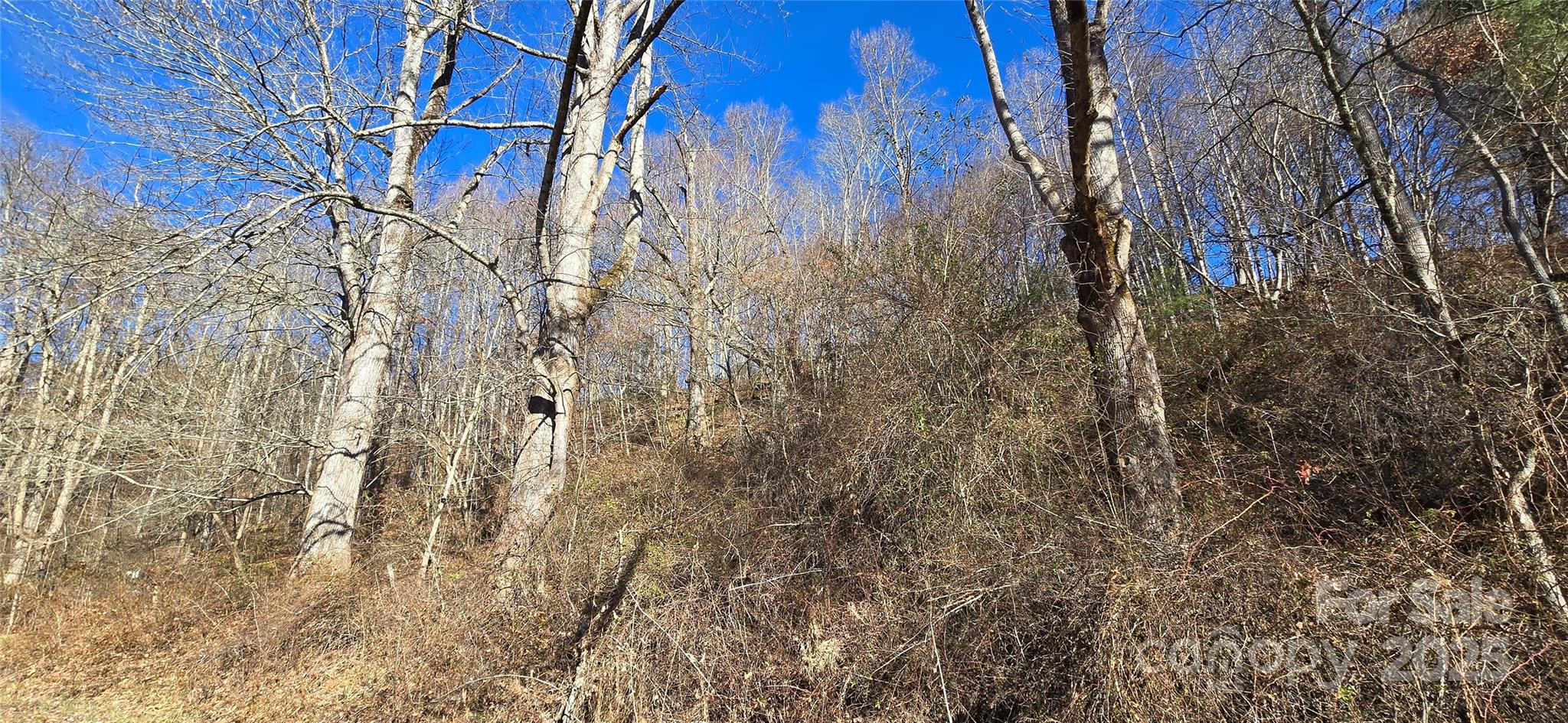 Lot 1 Turtle Rock Lane Waynesville NC 28785