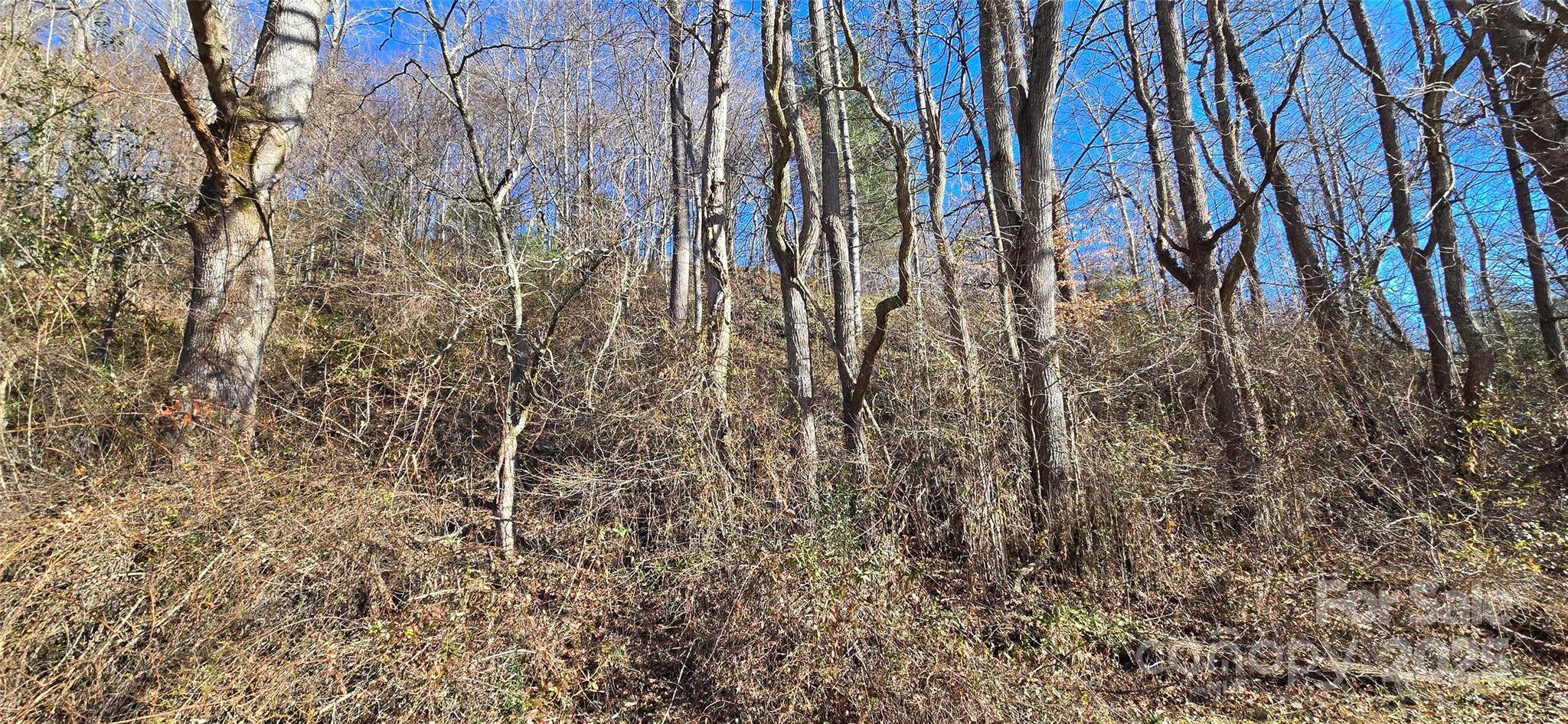 Lot 1 Turtle Rock Lane Waynesville NC 28785