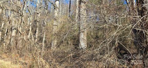 Lot 1 Turtle Rock Lane Waynesville NC 28785