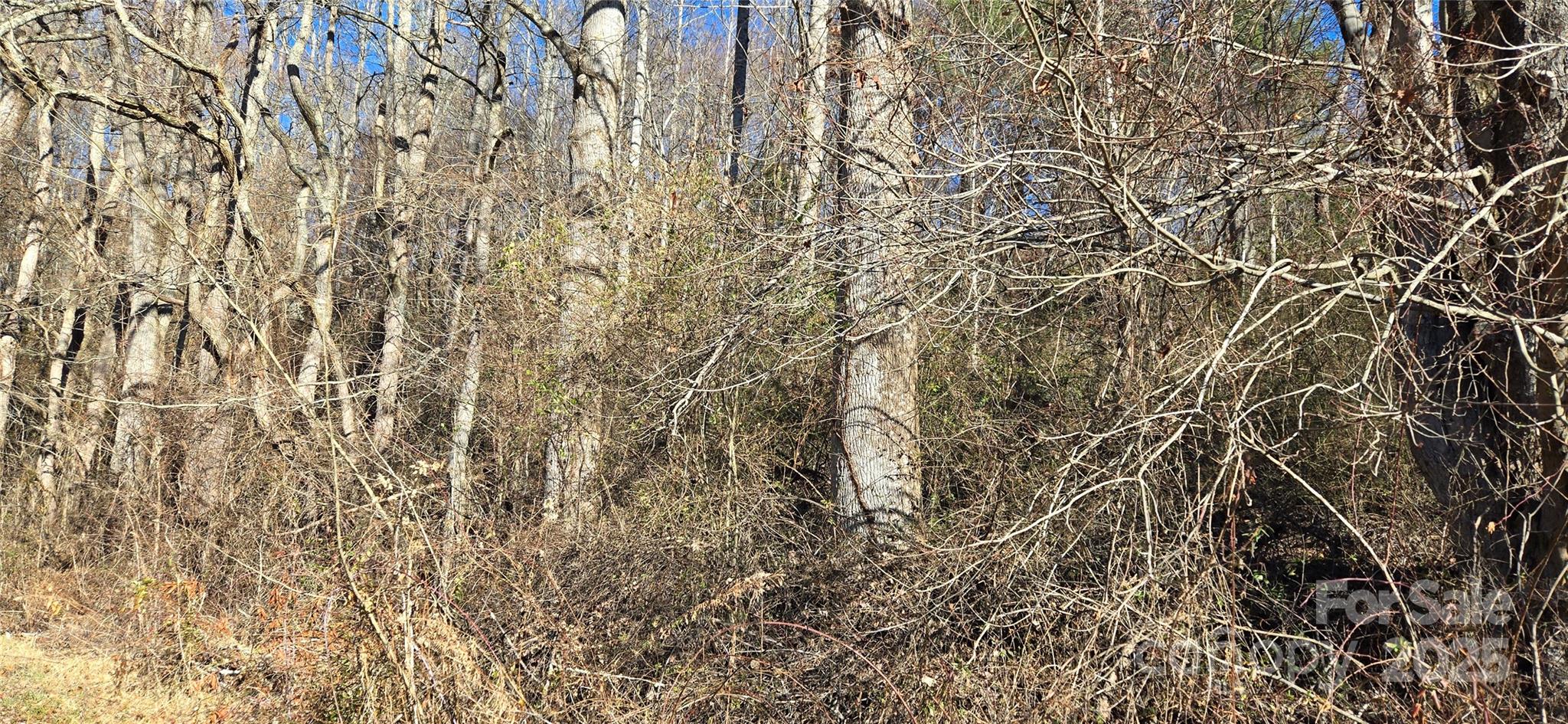 Lot 1 Turtle Rock Lane Waynesville NC 28785