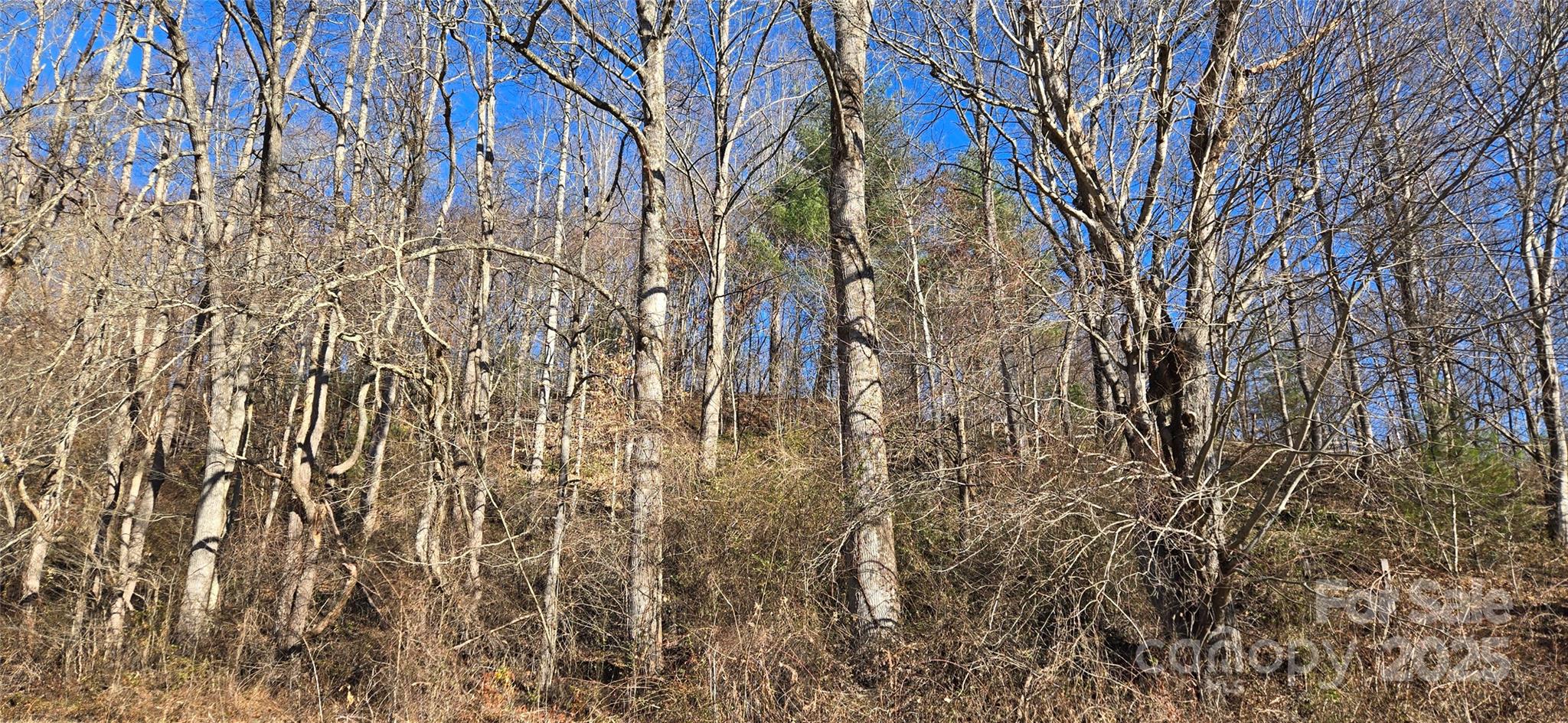 Lot 1 Turtle Rock Lane Waynesville NC 28785