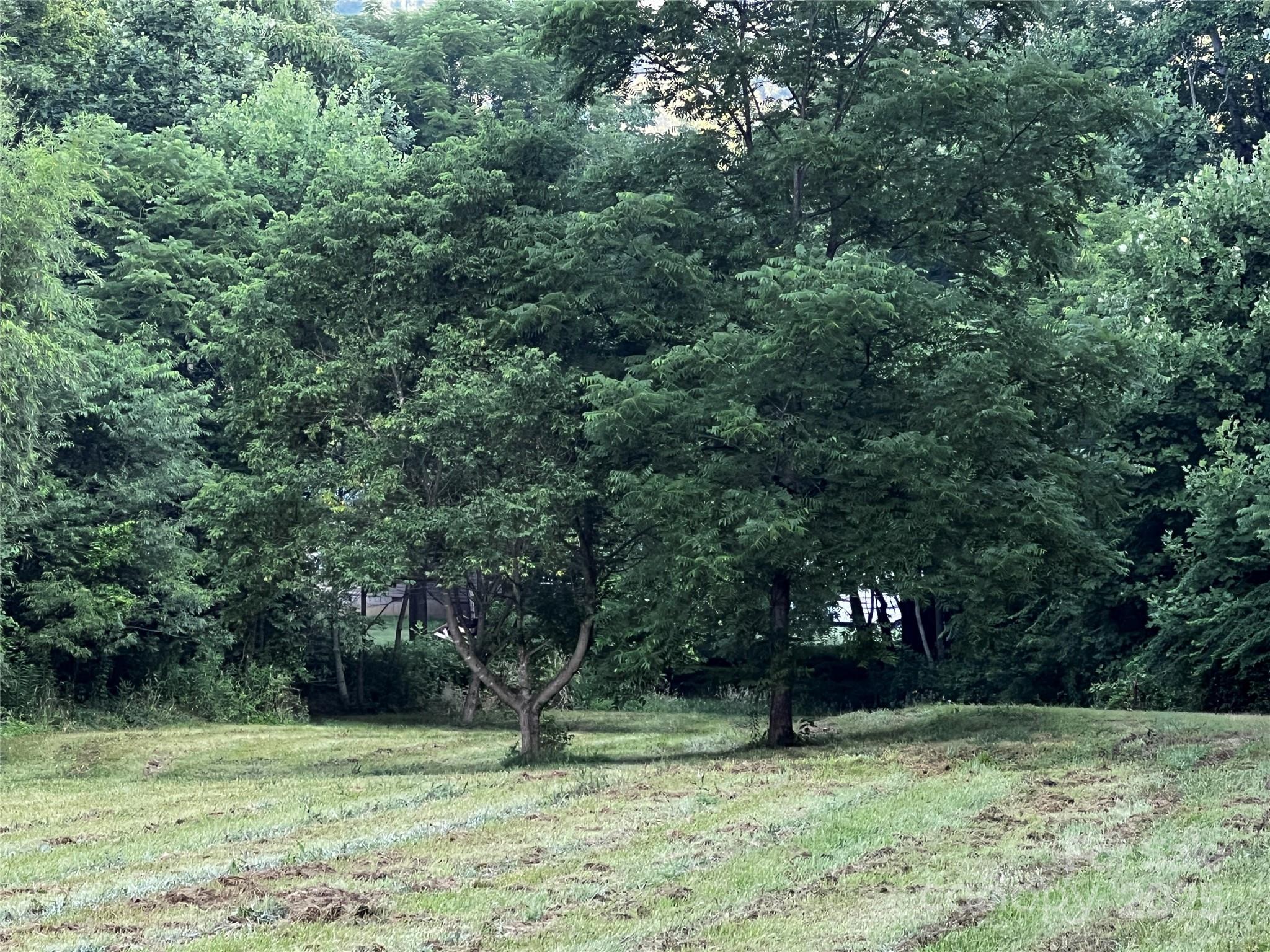 Lot 1 Turtle Rock Lane Waynesville NC 28785