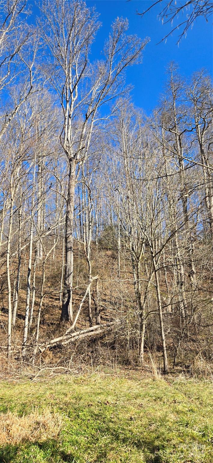 Lot 1 Turtle Rock Lane Waynesville NC 28785