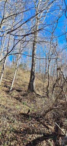 Lot 1 Turtle Rock Lane Waynesville NC 28785