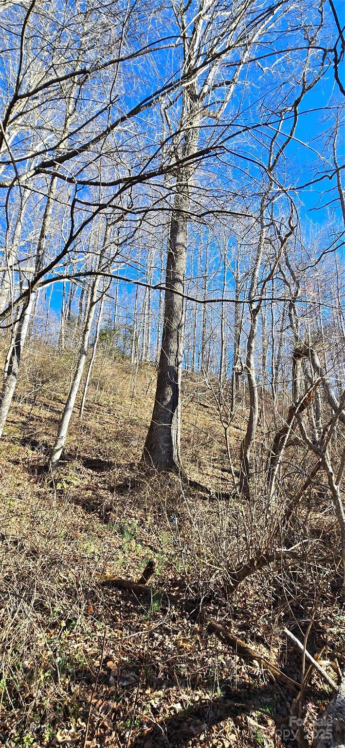 Lot 1 Turtle Rock Lane Waynesville NC 28785