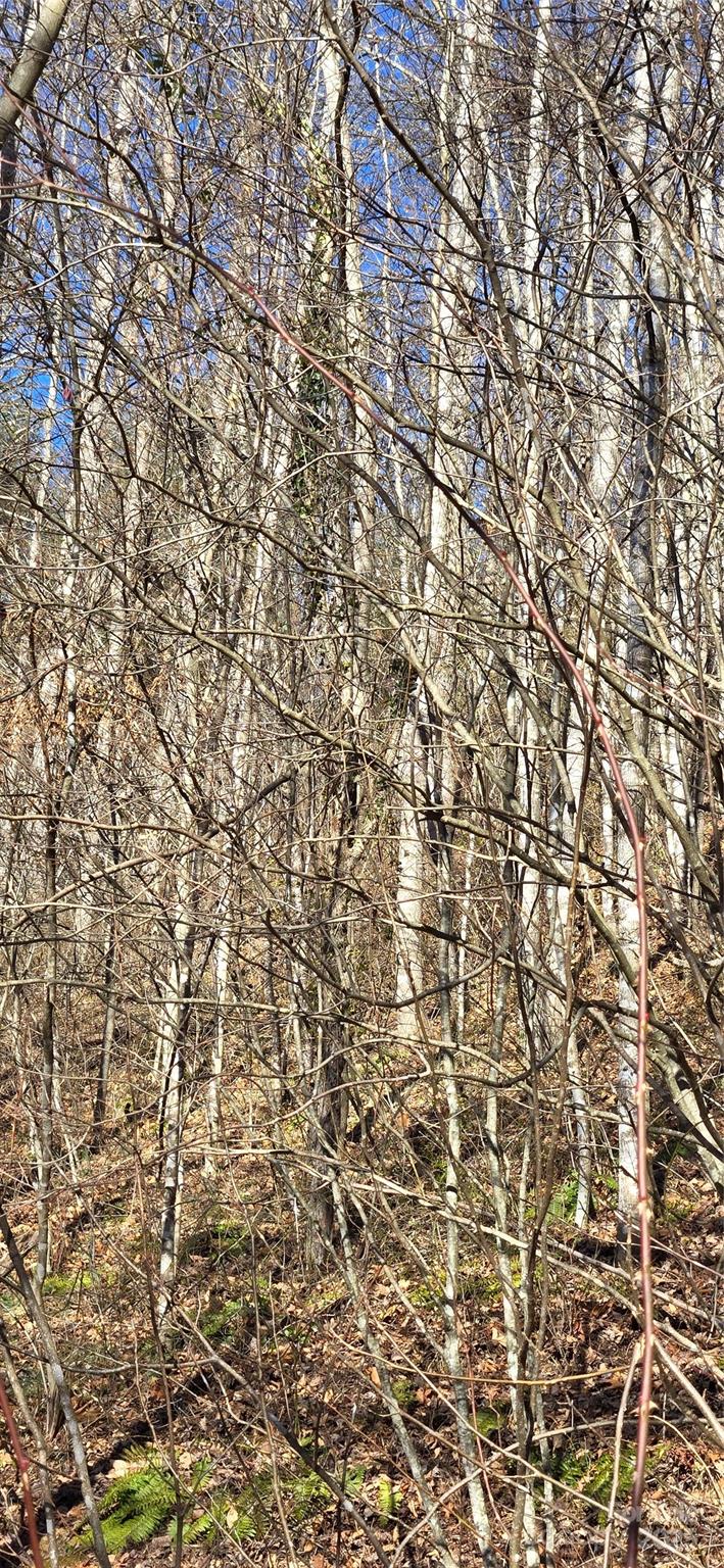 Lot 1 Turtle Rock Lane Waynesville NC 28785