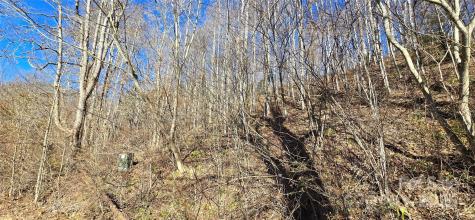 Lot 1 Turtle Rock Lane Waynesville NC 28785