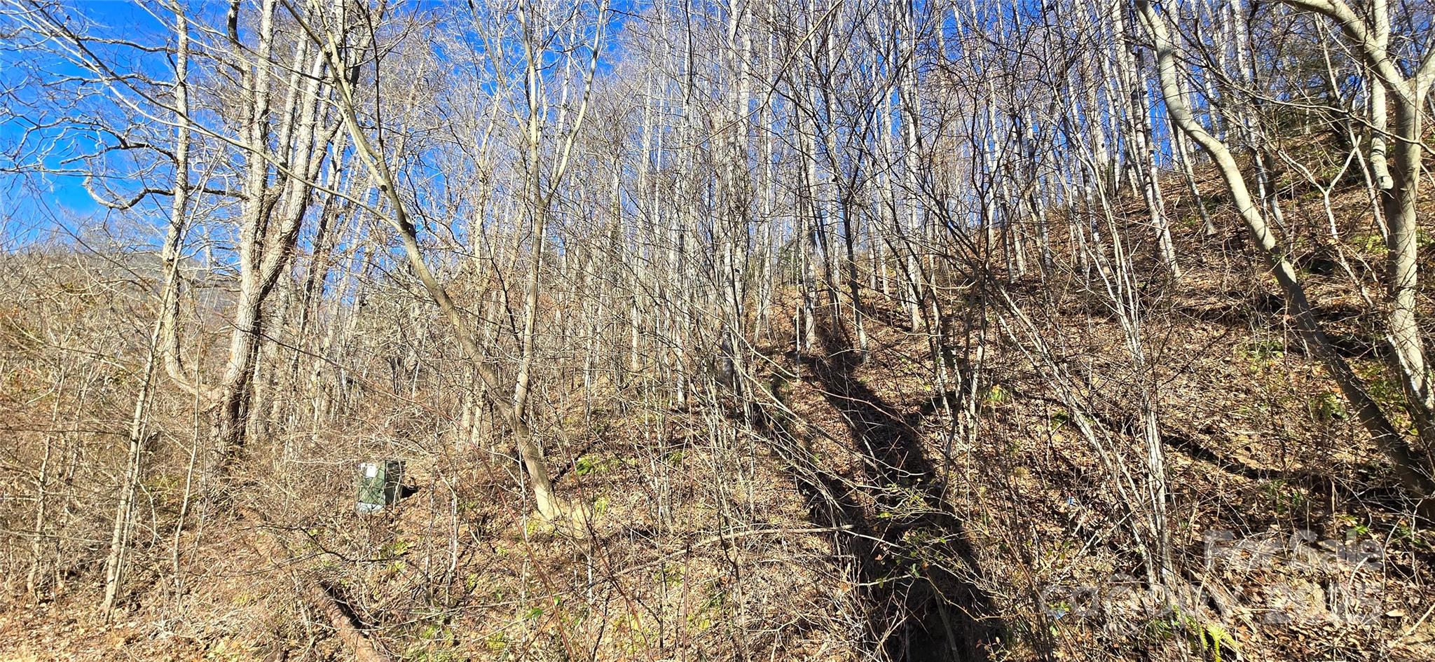 Lot 1 Turtle Rock Lane Waynesville NC 28785