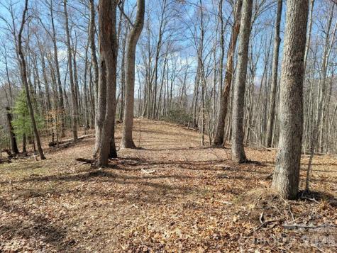 334 Omc Drive Burnsville NC 28714