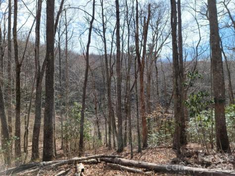 334 Omc Drive Burnsville NC 28714