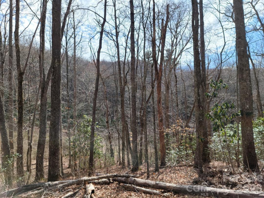 334 Omc Drive Burnsville NC 28714