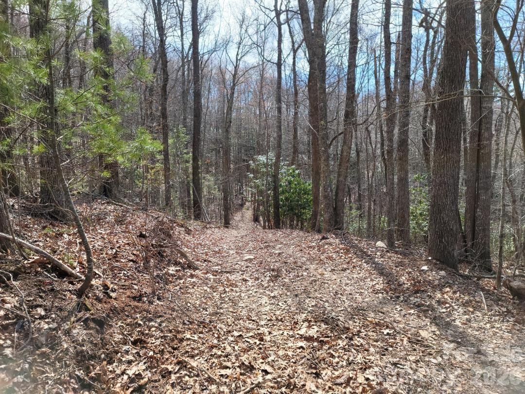 334 Omc Drive Burnsville NC 28714