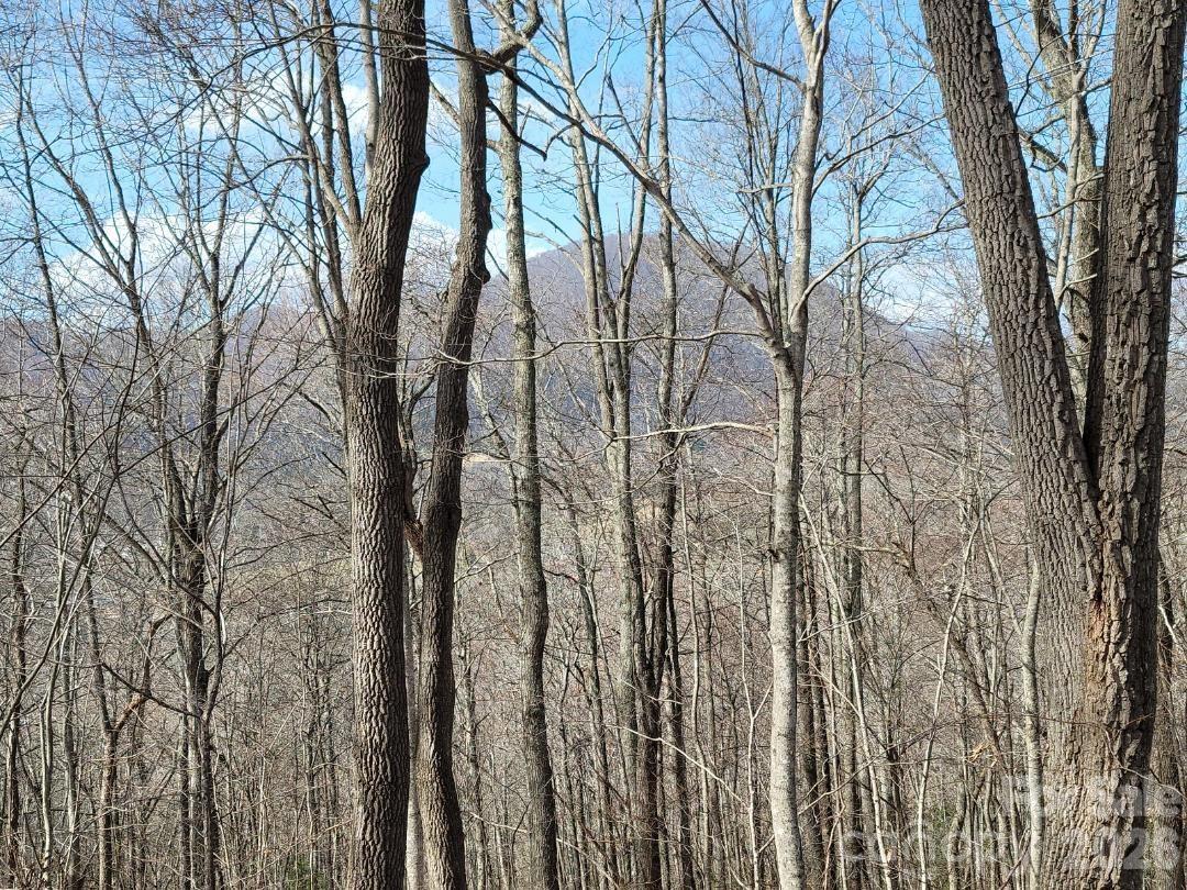 334 Omc Drive Burnsville NC 28714