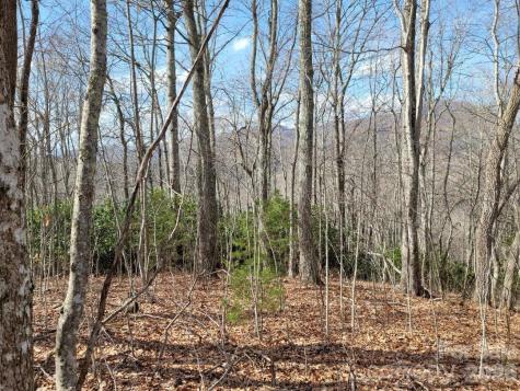 334 Omc Drive Burnsville NC 28714