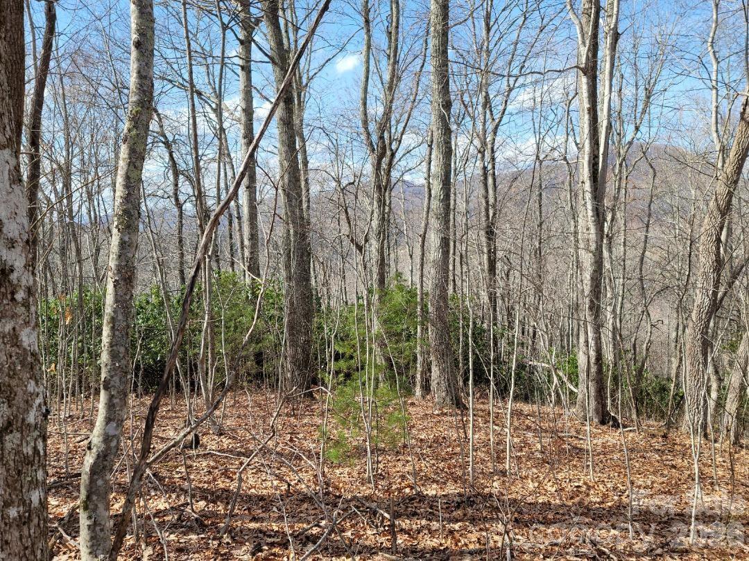 334 Omc Drive Burnsville NC 28714