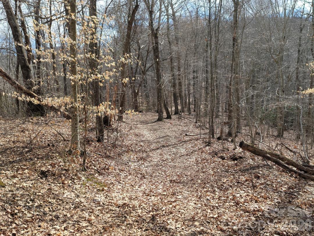 334 Omc Drive Burnsville NC 28714