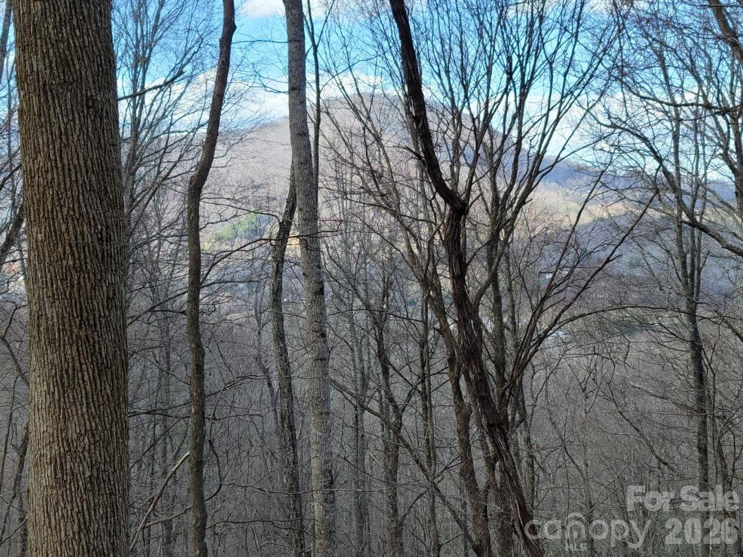 334 Omc Drive Burnsville NC 28714
