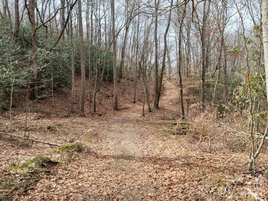 334 Omc Drive Burnsville NC 28714
