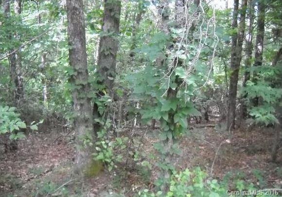 56 Creek Run Road Candler NC 28715