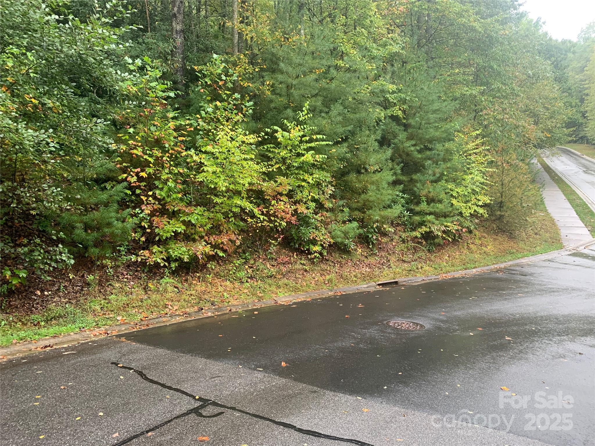 208 Settings Boulevard Black Mountain NC 28711