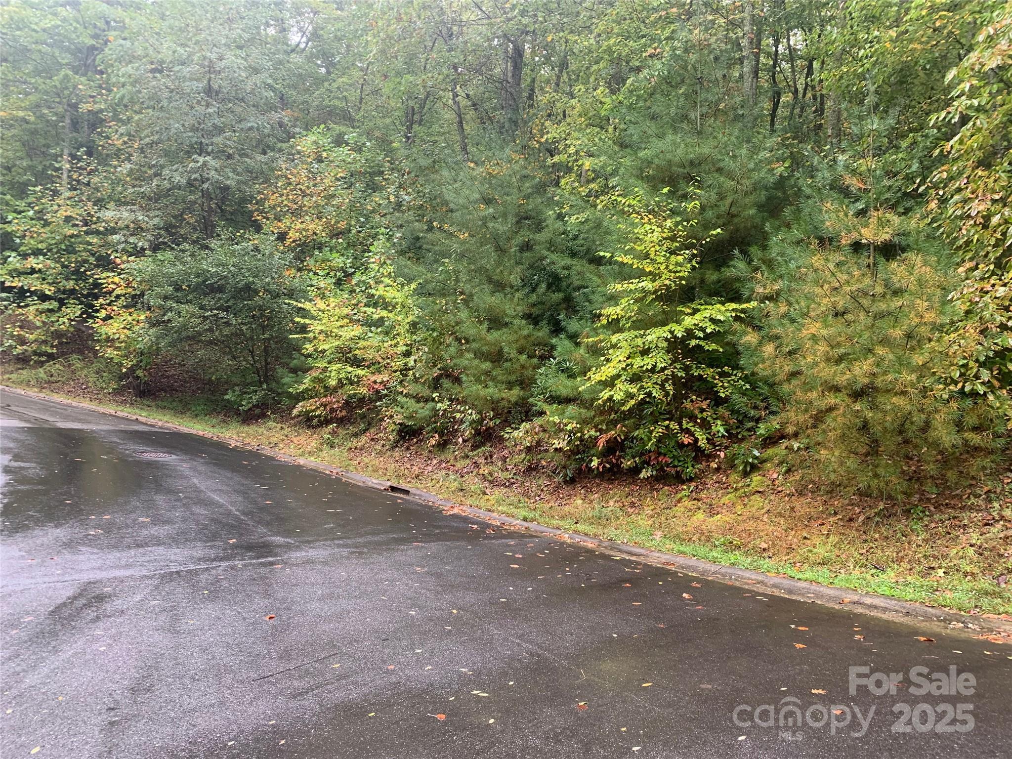 208 Settings Boulevard Black Mountain NC 28711