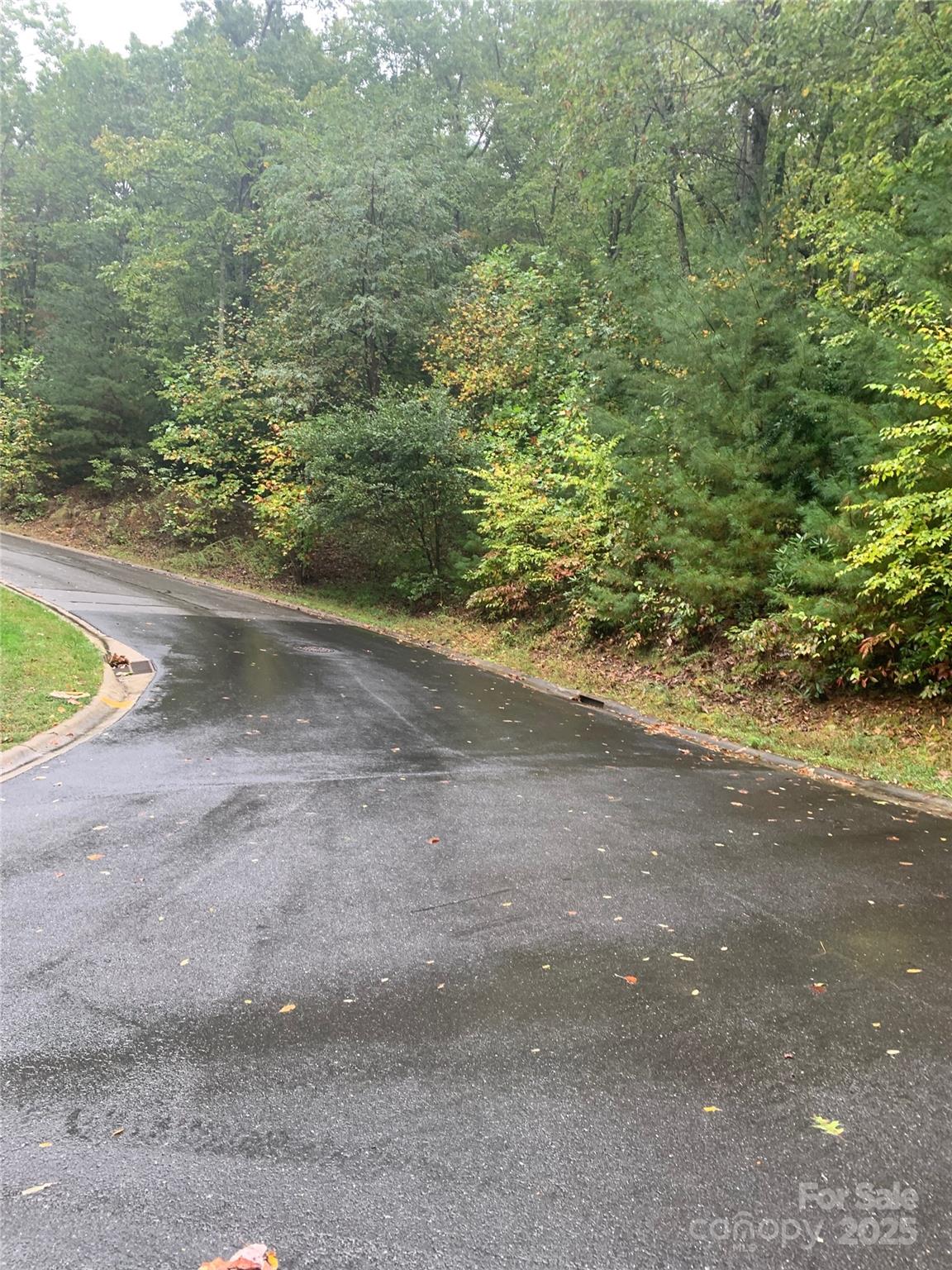 208 Settings Boulevard Black Mountain NC 28711