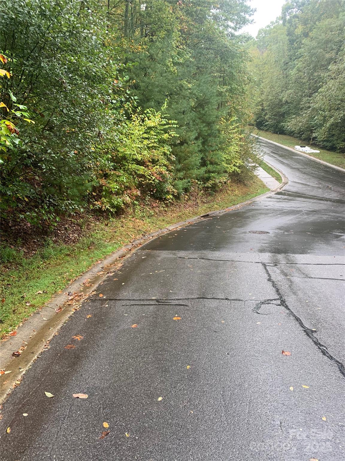 208 Settings Boulevard Black Mountain NC 28711