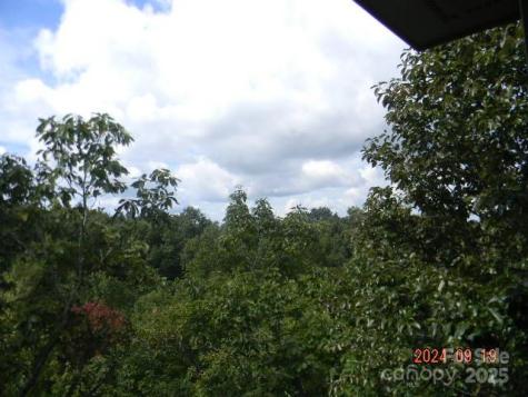 7866 Pinnacle Mountain Road Zirconia NC 28790