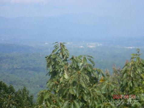 7866 Pinnacle Mountain Road Zirconia NC 28790