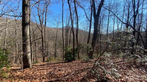 108 Camp Elliott Road Black Mountain NC 28711