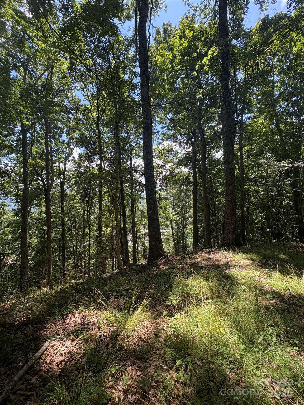 0000 Wheeler Hills Road Burnsville NC 28714