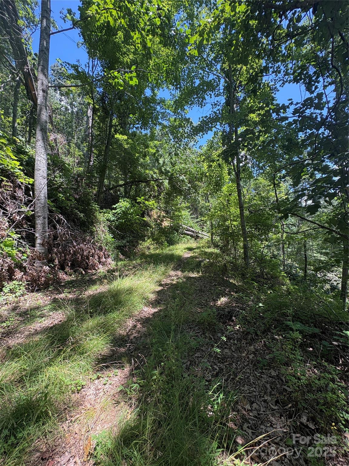 0000 Wheeler Hills Road Burnsville NC 28714