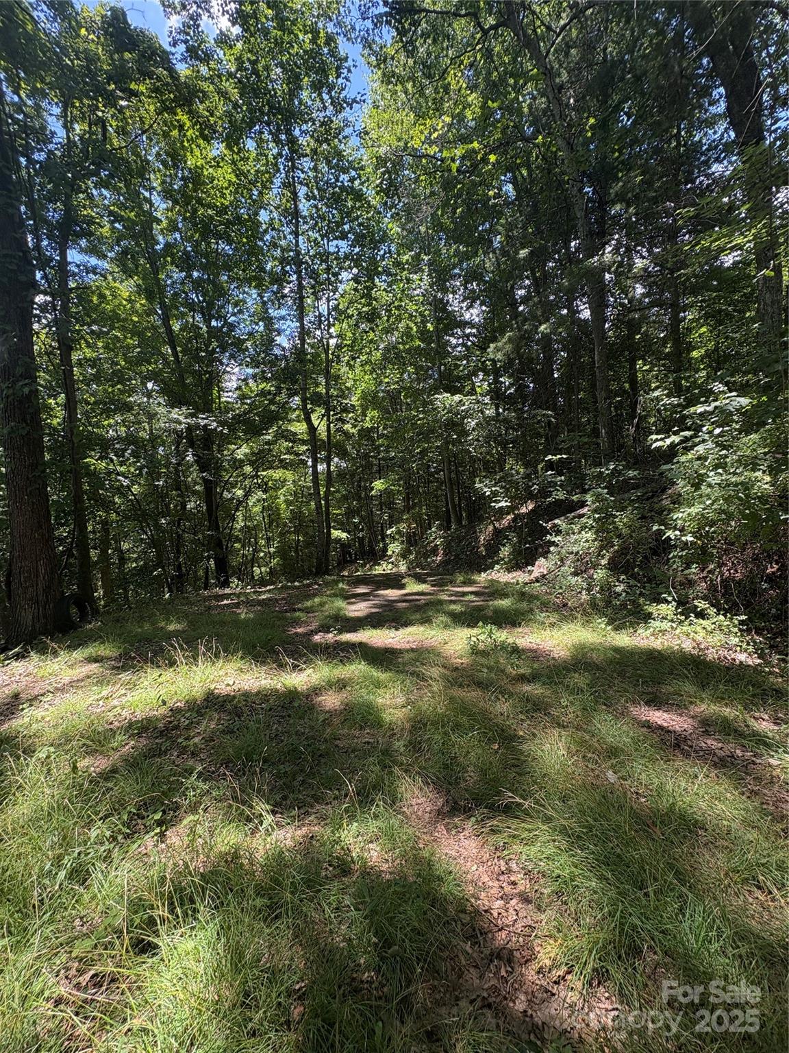 0000 Wheeler Hills Road Burnsville NC 28714